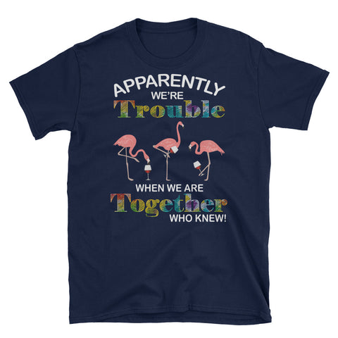 Image of Apparently We're Trouble When We Are Together Who Knew Short-Sleeve Unisex T-Shirt, Pink Flamingo Shirt, Summer Vacation Shirt