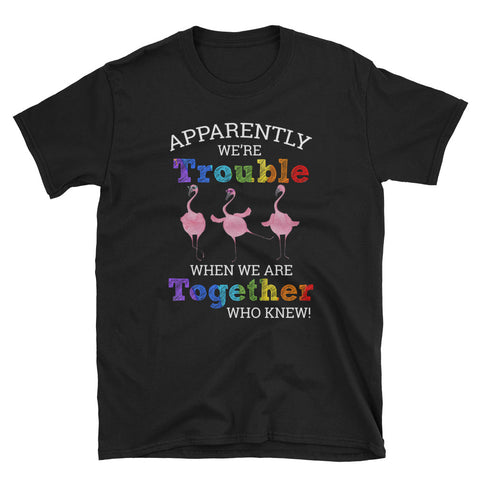 Image of Apparently We're Trouble When We Are Tpgether Who Knew Flamingo Short-Sleeve Unisex T-Shirt, Funny Flamingo Lover Shirt