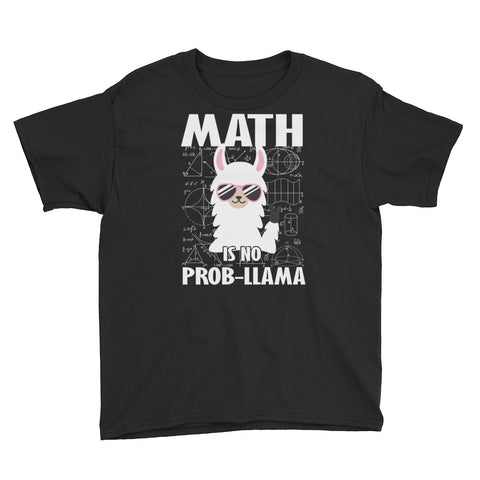 Image of Math Is No Pro-Llama Youth Short Sleeve T-Shirt, No Problem Llama, Funny Llama Shirt
