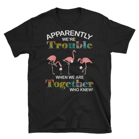 Image of Apparently We're Trouble When We Are Together Who Knew Short-Sleeve Unisex T-Shirt, Pink Flamingo Shirt, Summer Vacation Shirt