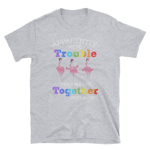 Image of Apparently We're Trouble When We Are Tpgether Who Knew Flamingo Short-Sleeve Unisex T-Shirt, Funny Flamingo Lover Shirt