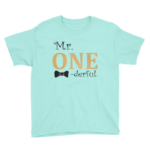 Image of Mr Onederful Youth Short Sleeve T-Shirt, Funny T-shirt For Kids, Birthday T-shirt For Kids