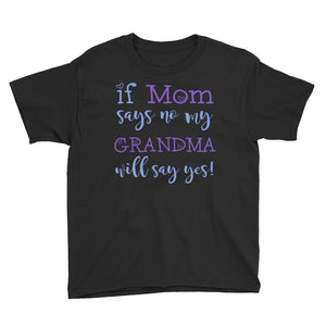 Personalized If Mom Says No My Grandma Will Say Yes Youth Short Sleeve T-Shirt, Funny T-shirt For Kids
