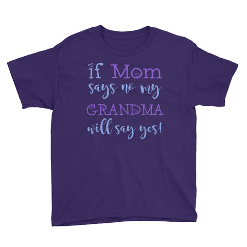 Image of Personalized If Mom Says No My Grandma Will Say Yes Youth Short Sleeve T-Shirt, Funny T-shirt For Kids