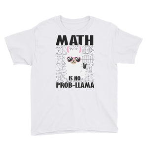 Math Is No Prob-Llama Youth Short Sleeve T-Shirt, Funny No Problem Llama, Funny Graphic Tee