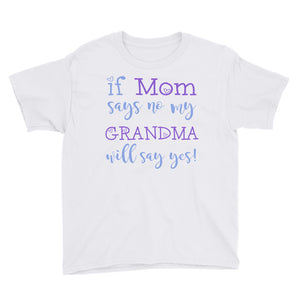Personalized If Mom Says No My Grandma Will Say Yes Youth Short Sleeve T-Shirt, Funny T-shirt For Kids