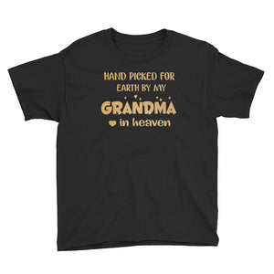 Hand Picked For Earth By My Grandma In Heaven Youth Short Sleeve T-Shirt, Gift for Cute Kids