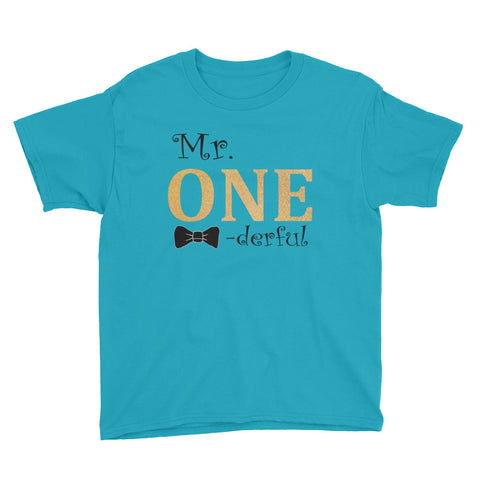 Image of Mr Onederful Youth Short Sleeve T-Shirt, Funny T-shirt For Kids, Birthday T-shirt For Kids